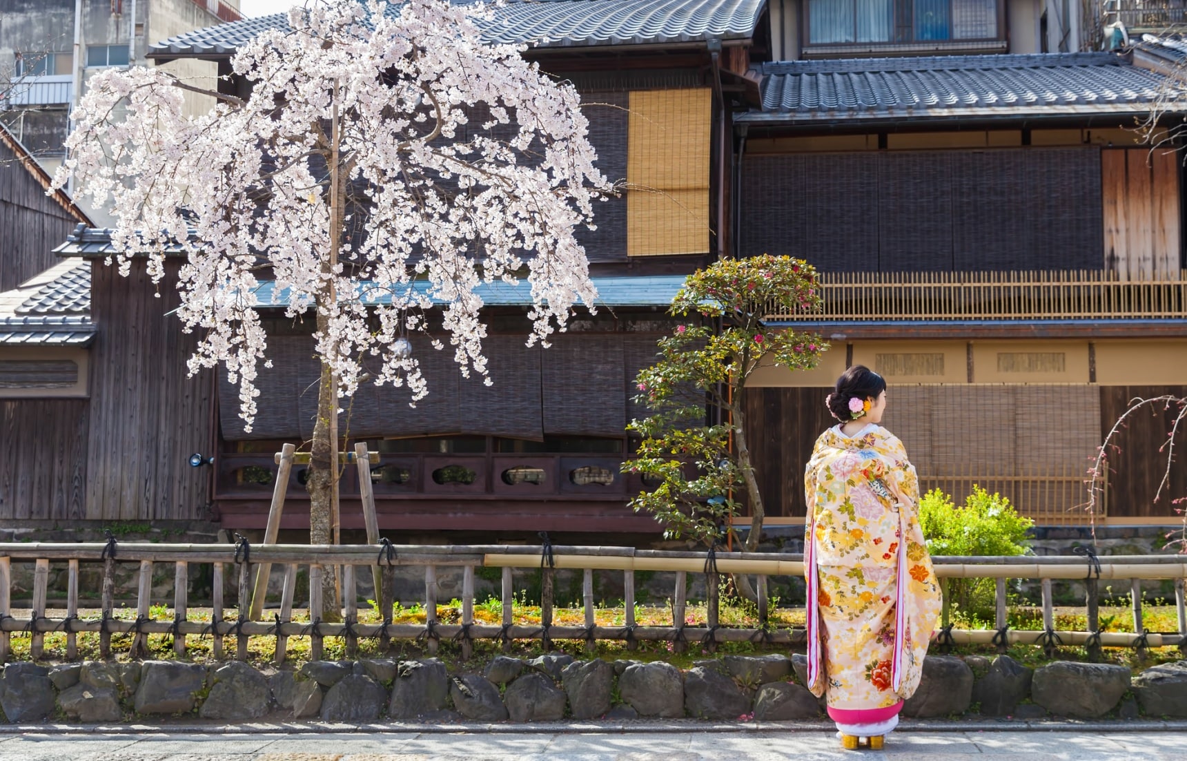 日本自由行:偷得浮生半日闲,来京都远离喧嚣、沉静心灵、享受精致美食吧!