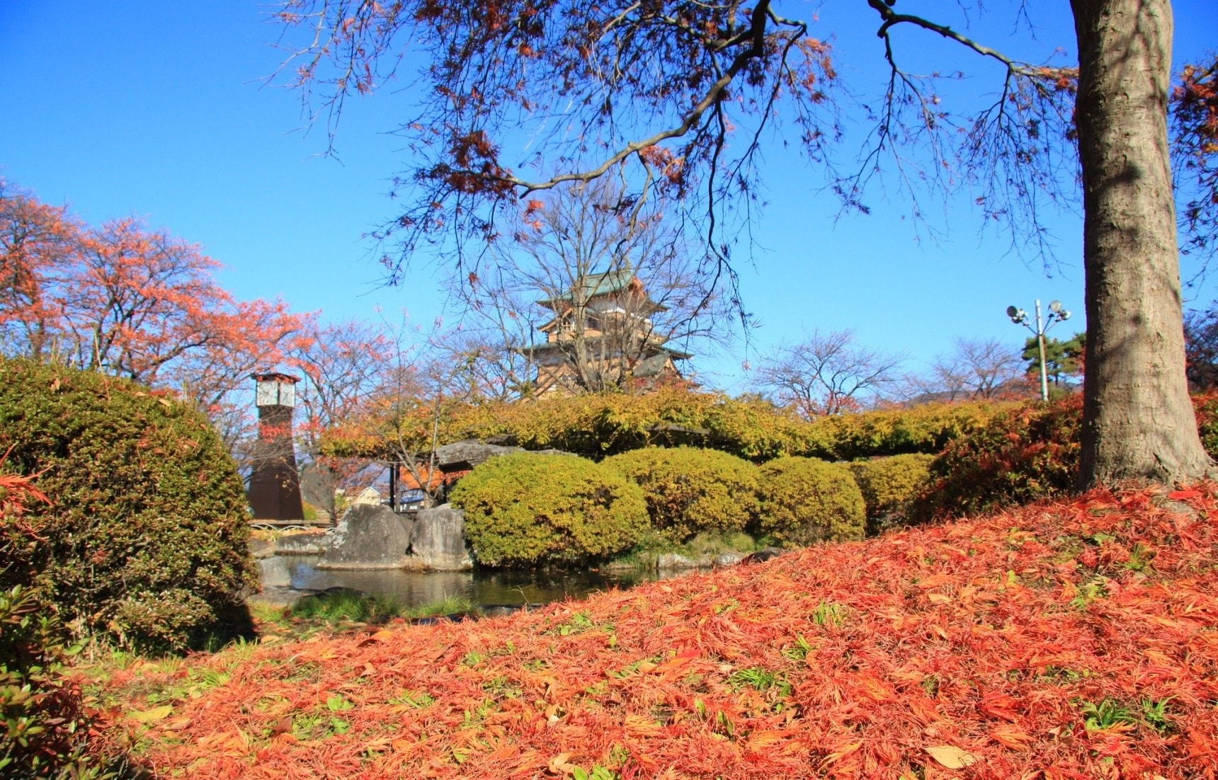 日本长野自由行:诹访古寺与古城的秋日红叶巡礼