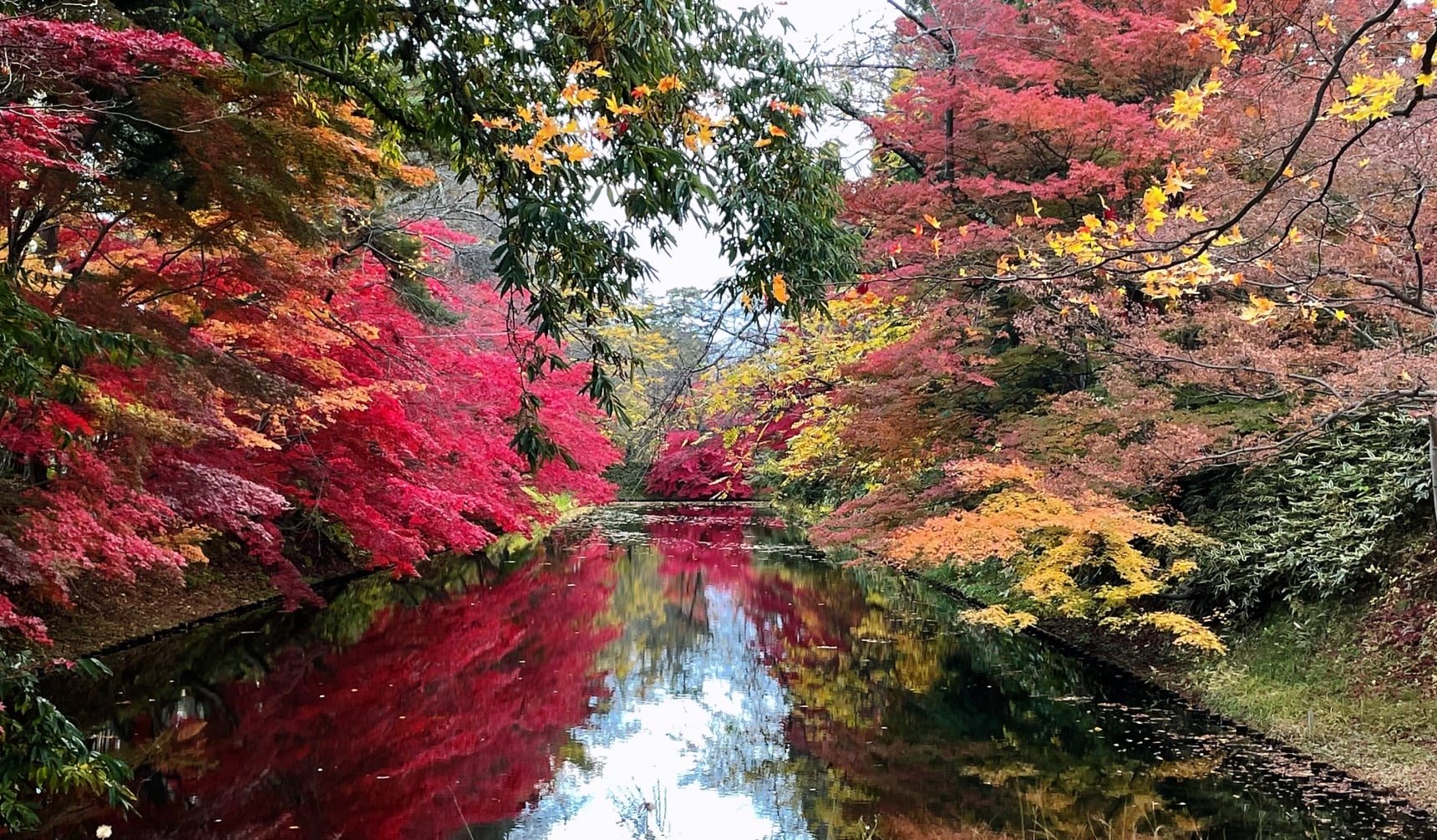 日本自由行:每一张都是绝景!记录青森秋色的“慢”游记