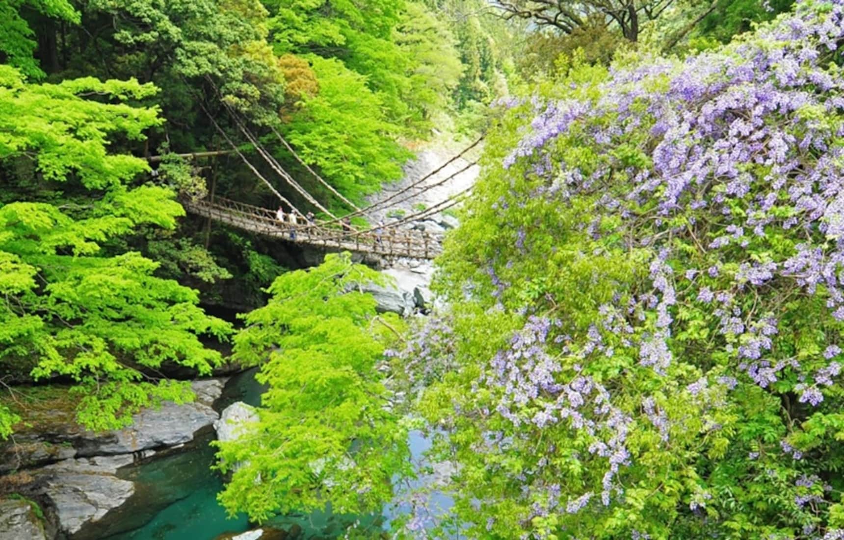 【日本德島】被遺忘的古民家!創生地方的旅宿品牌「桃源鄉 祖谷之山里」