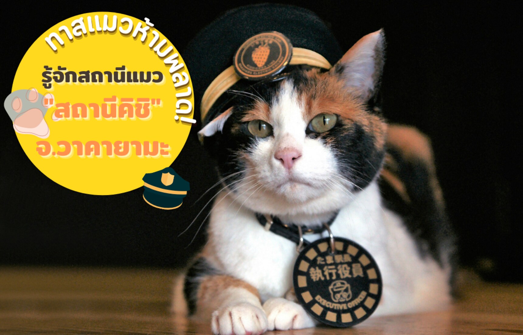 สถานีคิชิ (Kishi) สถานีแมวเหมียวทามะ ที่เหล่าทาสแมวไม่ควรพลาด!