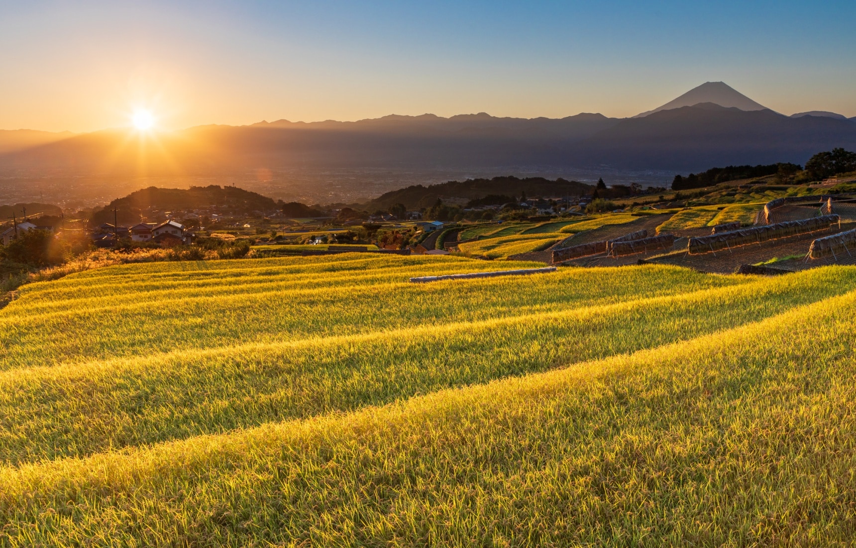 Sustainable Agriculture In Japan All About Japan