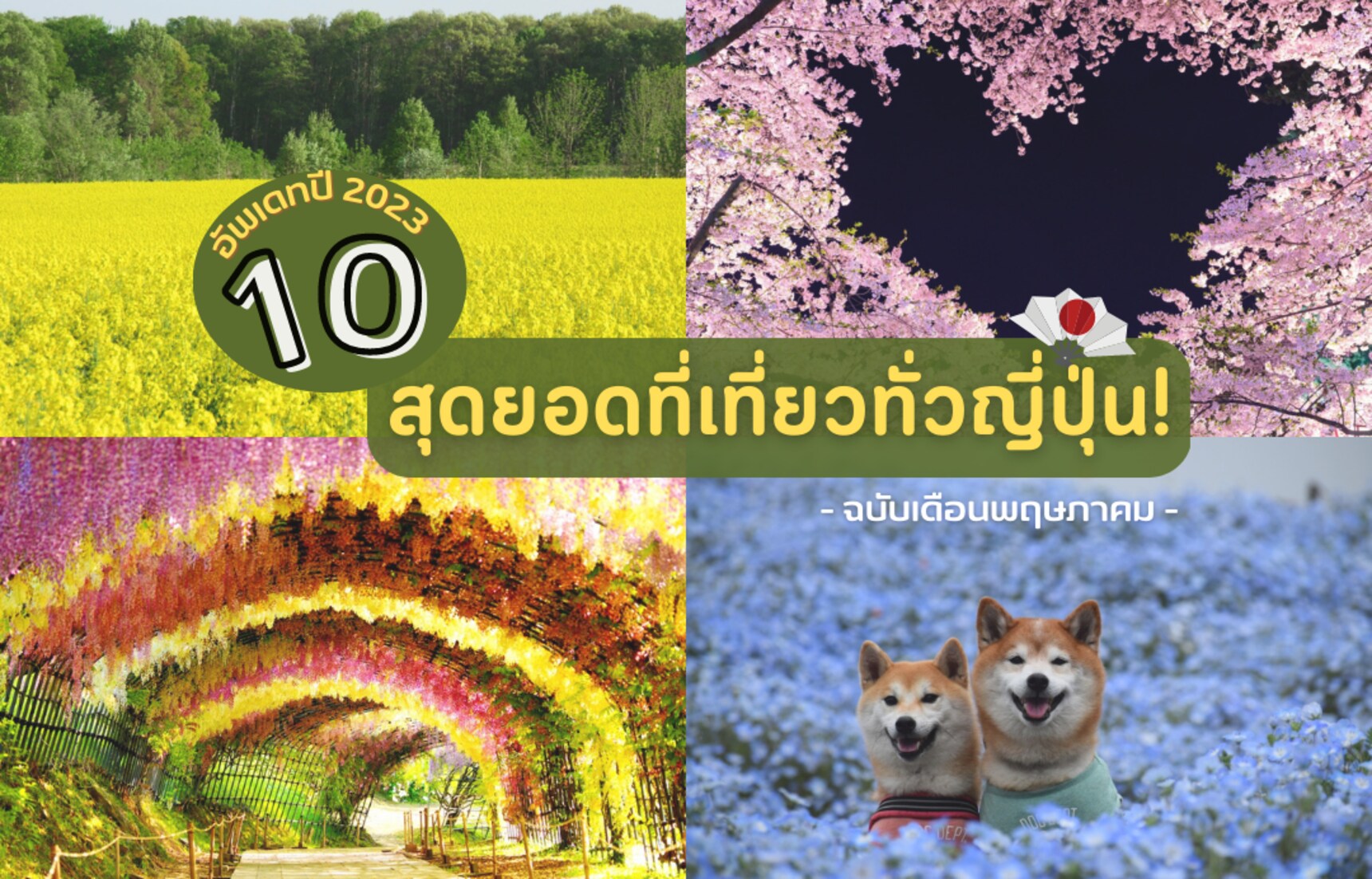 อัพเดทปี 2023! 10 สุดยอดที่เที่ยวเด่น เดือนพฤษภาคม ฉบับทั่วญี่ปุ่น | All  About Japan