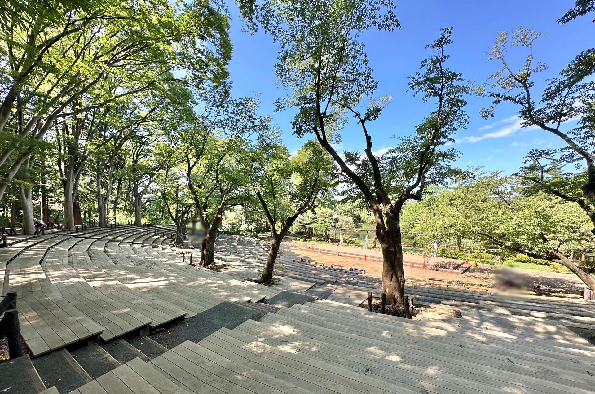 石神井公園の写真