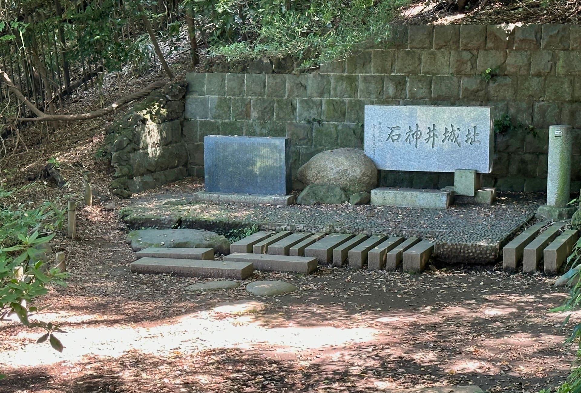 石神井公園の写真