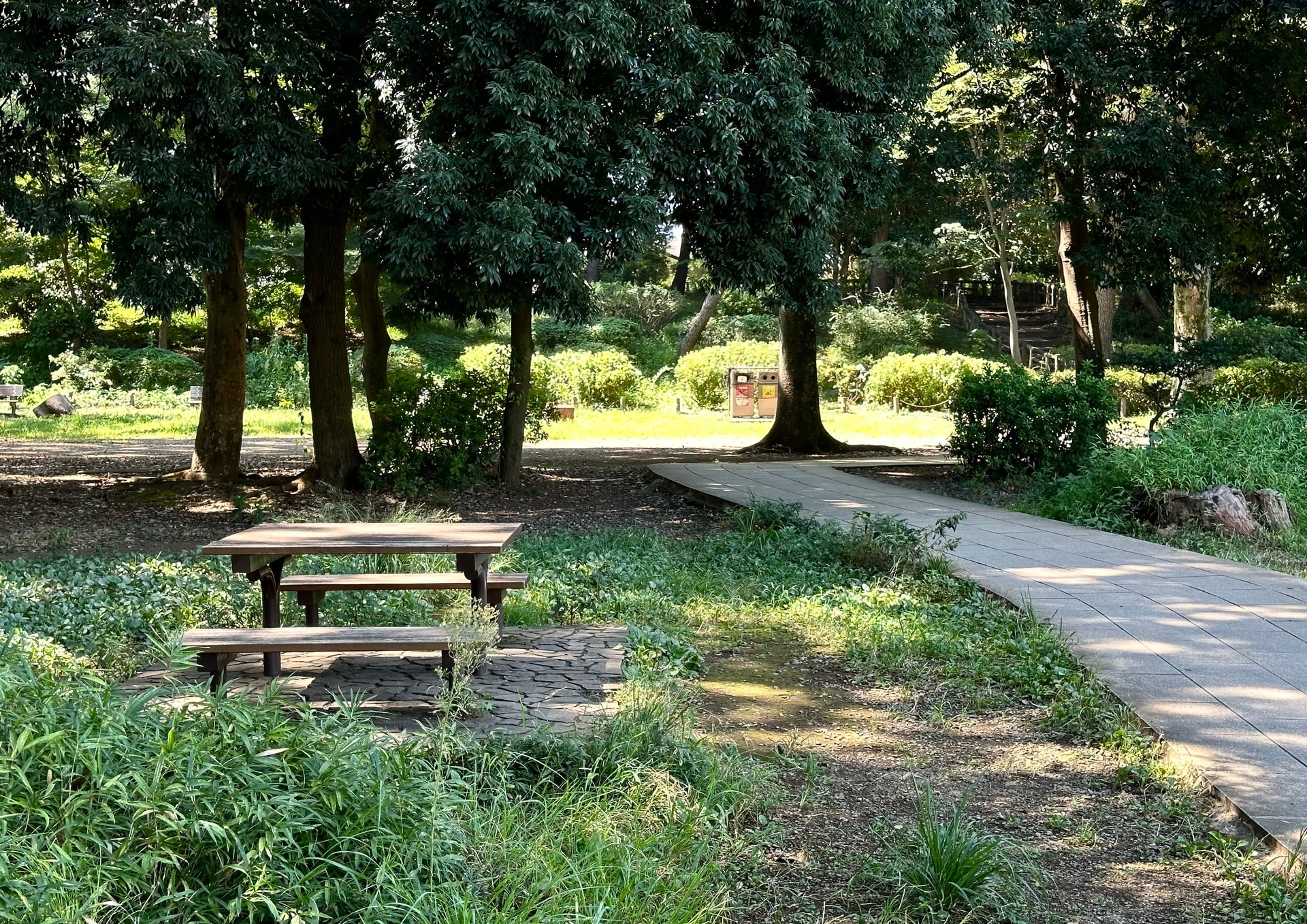 石神井公園の写真