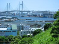 『コクリコ坂から』の舞台、横浜を巡る ～映画モデルとなった山手散策～