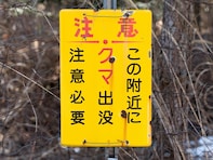 ヒトを恐れない「危険なクマ」を増やす可能性も…身近なレジャーに潜む無意識のNG行為