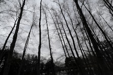 あなたの近くにいるかもしれない貧乏神の正体って？