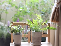 「貧乏体質な人」の部屋の特徴とは？脱・貧乏体質のヒント