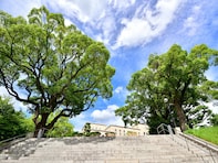 神戸市9区で「教育熱心」だと思うエリア2位は「灘区」、では1位は？【2025年最新】