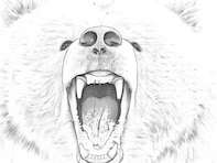 Q. クマに襲われてしまった場合、一般人にできる応急手当はありますか？