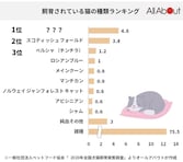 日本で最も多く飼育されている猫、第3位「ペルシャ」第2位「スコティッシュフォールド」第1位は…