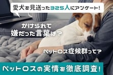 「新しい犬を飼えば？」「これで旅行行けるね」……知っておきたい、愛犬の死で言われて嫌だった言葉・救われた言葉アンケート