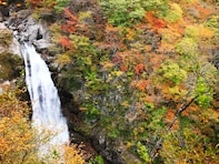 宮城県の住みここち（自治体）ランキング！ 2位「仙台市太白区」、1位は？