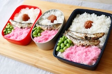 【ジブリ飯を完全再現】 昭和レトロな味！ 『となりのトトロ』の「サツキのお弁当」を作ってみた