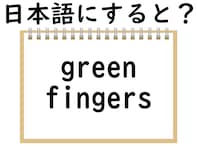 「green fingers」を日本語にすると？ 「緑の指」ってどういうこと？ 【英語クイズ】