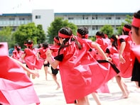「時代にそぐわない」と思う体育の種目ランキング。ソーラン節などの「日本の民踊」を抑えた1位は？