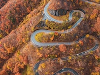 秋にドライブで行きたい都道府県ランキング！ 2位「栃木県」、1位は？【2023年調査】