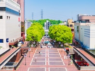 「家賃6万円台・東京1人暮らし」で住民満足度が高い駅、2位は「小田急多摩センター」。1位は？