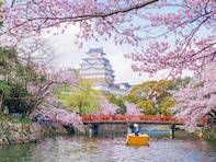 西日本の「桜の名所」人気ランキング！ 2位は兵庫県の「姫路城」、1位は？