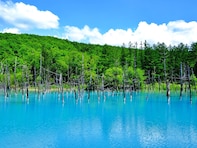 北海道・東北地方在住者が選ぶ「GWに行きたい観光地」ランキング！ 2位「白金青い池」「五稜郭公園」、1位は？