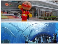 【横浜】「子どもと行きたい」テーマパーク・動物園・水族館ランキング！ 2位「シーパラ」、1位は？
