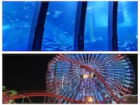 【横浜】「デートしたい」テーマパーク・動物園・水族館ランキング！ 2位「コスモワールド」、1位は？