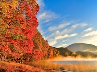 「秋の紅葉が美しい」と思う都道府県ランキング！ 2位「栃木県」、1位は？