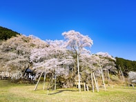 幸福度が高い「岐阜県の街（自治体）」ランキング！ 2位「本巣市」を抑えた1位は？