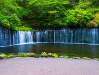 「緑豊かな森林が魅力だと思う都道府県」ランキング！ 2位「長野県」、1位は？