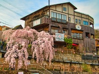 兵庫で人気の「桜の名所」ランキング！ 「有馬温泉」を抑えた1位は？