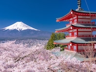 山梨で人気の「桜の名所」ランキング！ 「新倉山浅間公園」と同率の1位は？