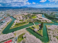 北海道の「ゴールデンウイークに行きたい花畑」ランキング！ 2位「五稜郭公園」を抑えた1位は？