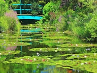四国地方の「ゴールデンウイークに行きたい花畑」ランキング！ 2位「北川村『モネの庭』」、1位は？