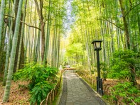 長期休みに行きたい静岡県の「穴場温泉地」ランキング！ 2位「修善寺温泉」、1位は？