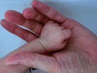 大島優子、第2子出産！ 赤ちゃんとの“ツーショット”も公開「本当におめでとう　頑張ったね」