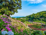愛知県の「あじさいの名所」ランキング！ 2位「形原温泉あじさいの里」を抑えた1位は？