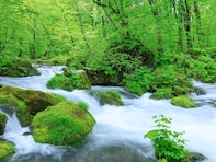 梅雨に行きたい「北海道・東北地方の絶景スポット」ランキング！ 2位は青森県「奥入瀬渓流」、1位は？