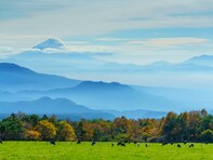 山梨県民が選ぶ「街の住みここち（自治体）」ランキング！ 2位「北杜市」、1位は？