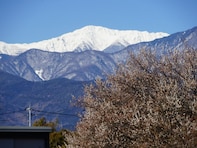 山梨県民が選ぶ「住みたい街（自治体）」ランキング！ 「中巨摩郡昭和町」と並んだ同率1位は？