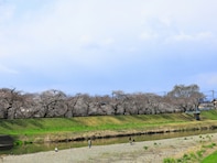 栃木県民が選ぶ「街の住みここち（自治体）」ランキング！ 2位「下都賀郡壬生町」、1位は？