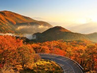 【2025年調査】「紅葉が美しいと思う都道府県」ランキング！ 2位「栃木県」、1位は？
