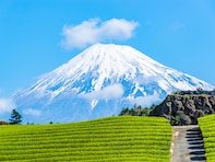 【2025年調査】「山の景色が美しいと思う都道府県」ランキング！ 富士山のある「静岡県」を抑えた1位は？