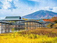 ナンバープレートで地元愛を感じる青森県の地名ランキング！ 2位「青森」と僅差の1位は？