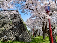 ナンバープレートで地元愛を感じる岩手県の地名ランキング！ 2位「盛岡」に競り勝った1位は？