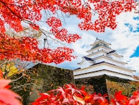 ナンバープレートで地元愛を感じる東北地方の地名ランキング！ 2位「会津（福島県）」、僅差の1位は？