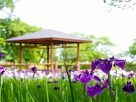 福島県民が選ぶ「街の住みここち（自治体）」ランキング！ 2位「岩瀬郡鏡石町」、1位は？