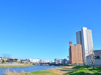 ナンバープレートで地元愛を感じる埼玉県の地名ランキング！ 2位「春日部」、1位は？