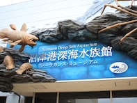 夏に行きたい「静岡県の避暑観光地」ランキング！ 2位「沼津港深海水族館」、1位は？